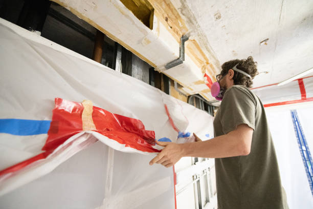 Best Water Damage & Mold Remediation  in Elsmere, DE