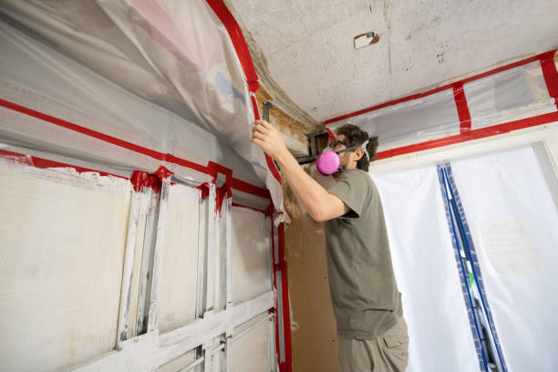 Best Mold Remediation for Healthcare Facilities  in Elsmere, DE